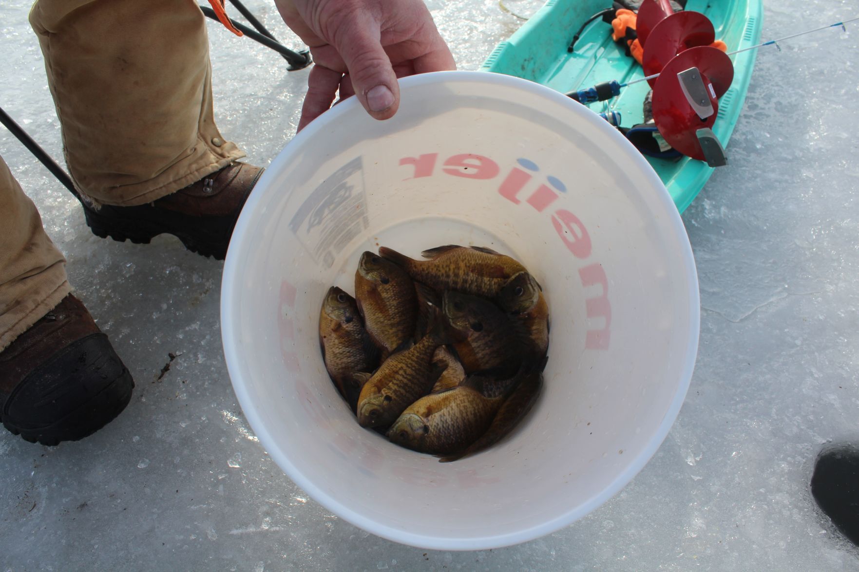 Ice Fishing 7